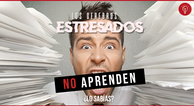 Los cerebros estresados no aprenden ¿lo sabías?