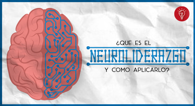 ¿Qué es el neuroliderazgo y cómo aplicarlo?